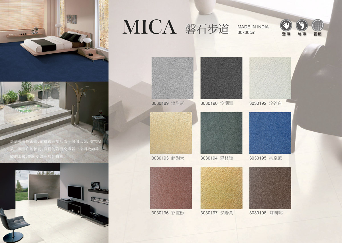 MICA-P-2.jpg